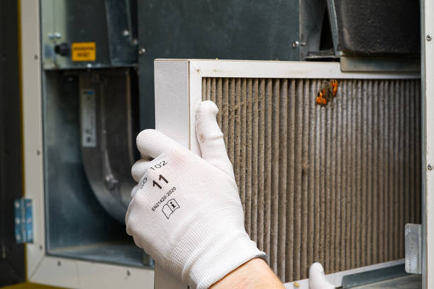 Best Emergency Air Duct Cleaning  in Shadybrook, TX