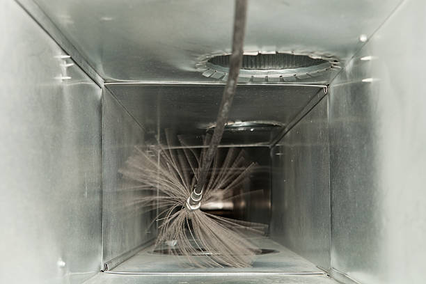 Best Air Duct Cleaning Company Near Me  in Shadybrook, TX