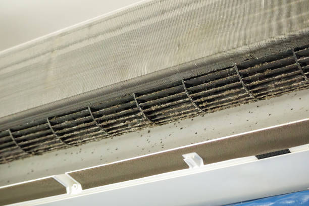 Best Air Vent Cleaning Services  in Shadybrook, TX